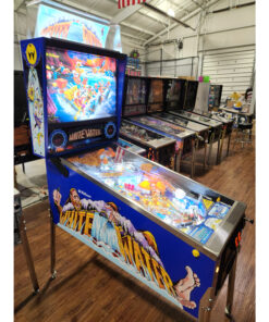 White Water Pinball Machine by Williams  </br>(High End Restoration)