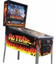 No Fear Pinball Machine