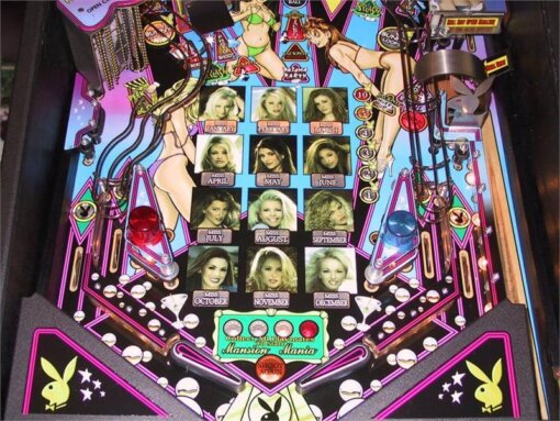 Playboy Pinball Machine by Stern